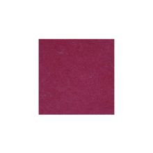  Raspberry арт.763879