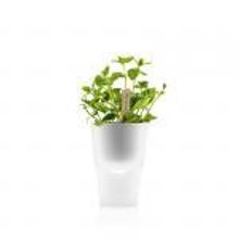 Eva Solo Горшок для растений с естественным поливом Herb pot малый матовое стекло арт. 568115