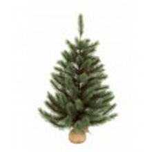 Triumph Tree Ель "Триумф де Люкс" 120 см зеленая