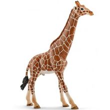 Schleich Wild Life Самец жирафа