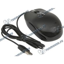 Оптическая мышь Genius "DX-160", 2кн.+скр., черный (USB) (ret) [139931]