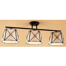 Светильник Потолочный Citilux CL409231