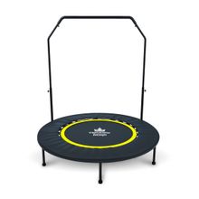 Triumph Батут - тренажер Triumph с держателем 102 см